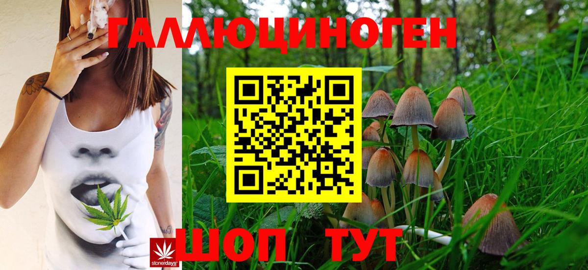 Псилоцибиновые грибы MAGIC MUSHROOMS Фурманов